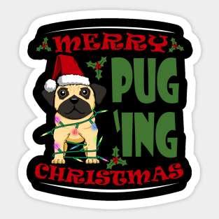 Merry Puging Christmas Cute Pug Dog Sticker